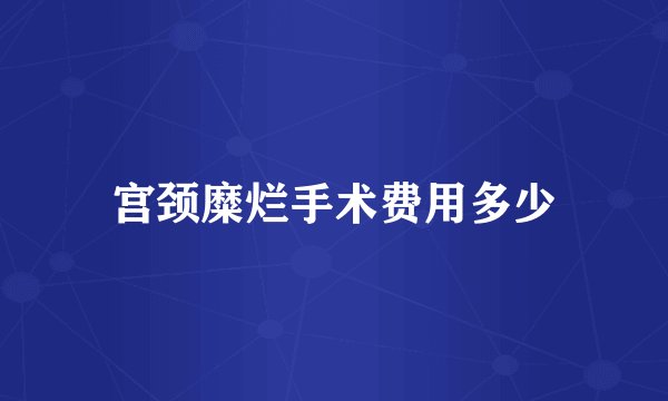 宫颈糜烂手术费用多少