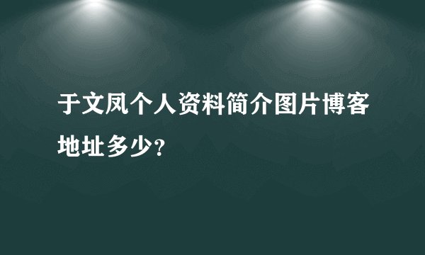 于文凤个人资料简介图片博客地址多少?
