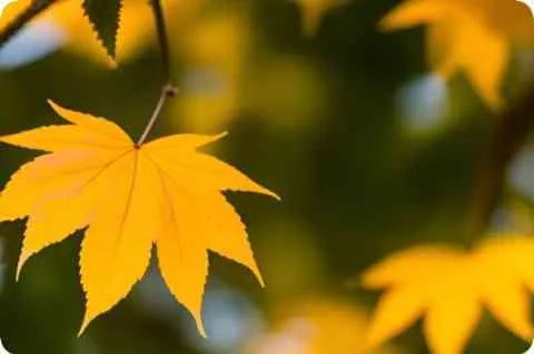 美国唯一官方认可冤鬼索命案件：田纳西的案件