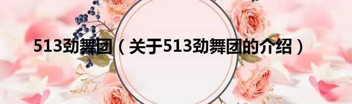 513劲舞团（关于513劲舞团的介绍）