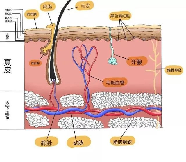 角质护理就是单纯的去角质吗?应该怎样做角质护理?