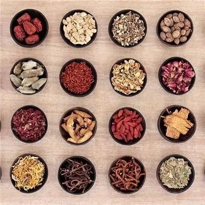 什么中药治疗尿毒症