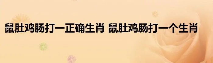 鼠肚鸡肠打一正确生肖 鼠肚鸡肠打一个生肖
