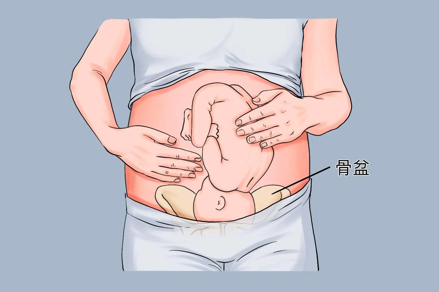 孕妇骨盆在哪个位置图片