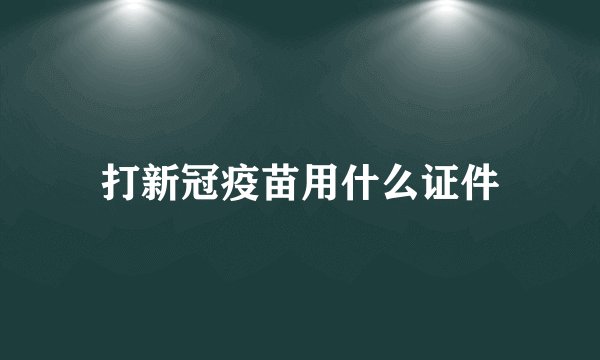 打新冠疫苗用什么证件