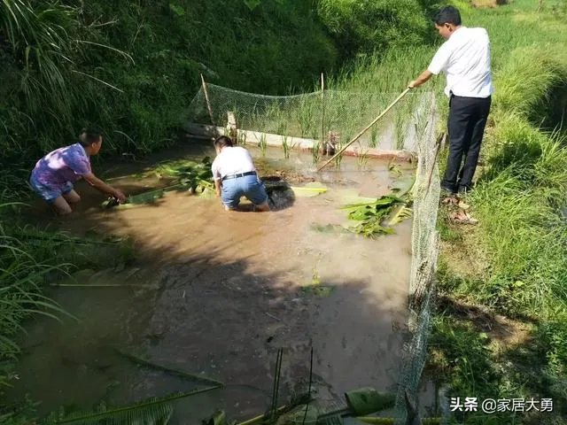 湖北省什么时候可以解除封锁？