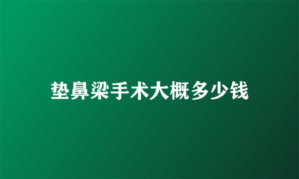 垫鼻梁手术大概多少钱