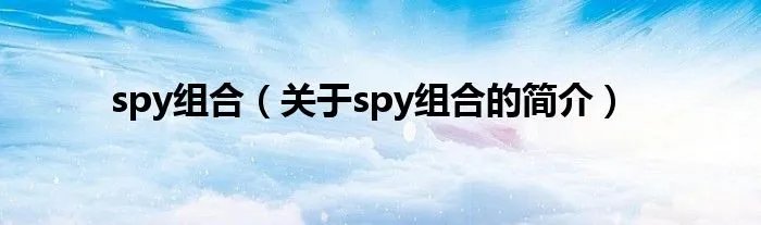spy组合（关于spy组合的简介）