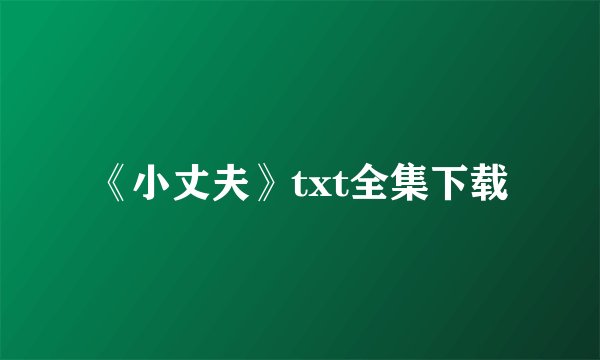 《小丈夫》txt全集下载