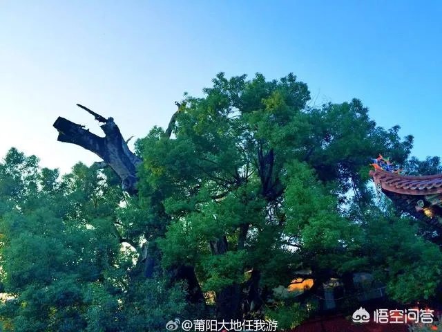 莆田东岩山公园好玩么?