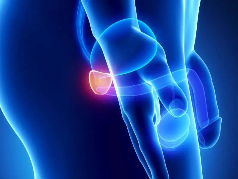 引起睾丸囊肿的原因