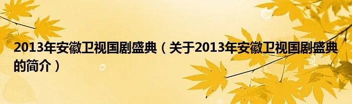 2013年安徽卫视国剧盛典（关于2013年安徽卫视国剧盛典的简介）
