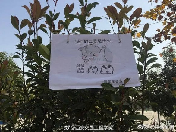 高校禁烟表情包是什么 高校禁烟表情包欣赏