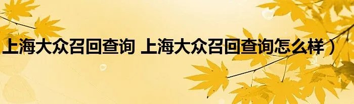 上海大众召回查询 上海大众召回查询怎么样)