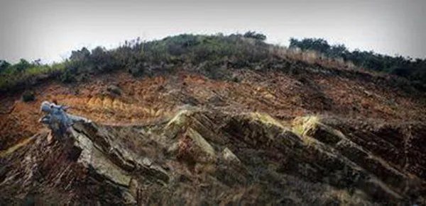 三峡是堵四川龙脉的吗 水库放水三峡发现一条受伤真龙