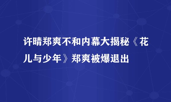 许晴郑爽不和内幕大揭秘《花儿与少年》郑爽被爆退出