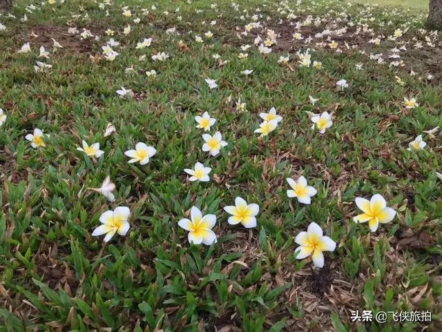 该怎么学习自媒体?