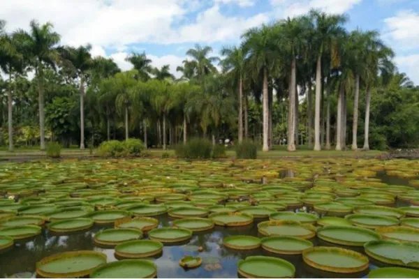 中国十大自然保护区