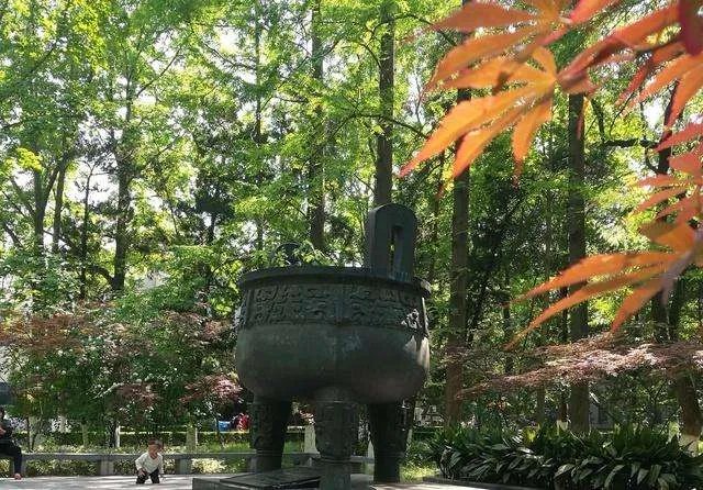 同班17人被空军录取,这个班级的老师是怎么教育学生的?