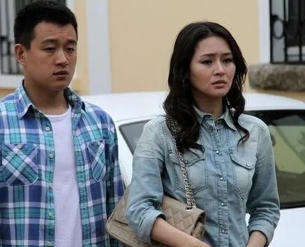 门弟分集剧情介绍  根据作家连谏同名小说改编