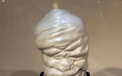 世界上最大的珍珠——老子之珠，如人脑一般大