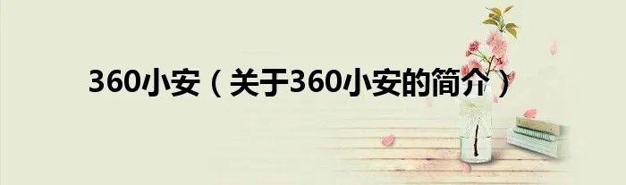 360小安（关于360小安的简介）