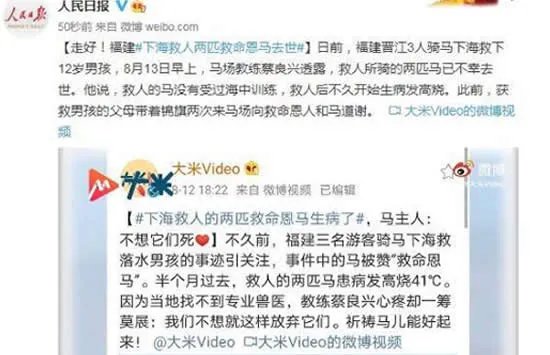 福建下海救人的两匹救命恩马去世 事件背后的真相让人泪目