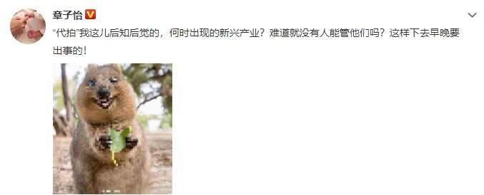 章子怡发文斥代拍是怎么回事 章子怡发文斥代拍是什么情况