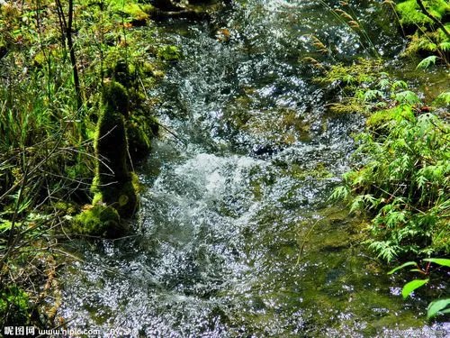 上海到九寨沟旅游