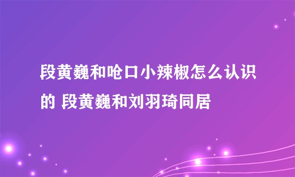 段黄巍和呛口小辣椒怎么认识的 段黄巍和刘羽琦同居