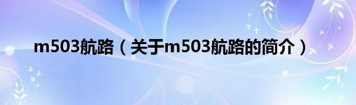 m503航路（关于m503航路的简介）