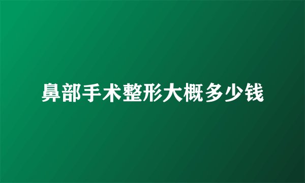 鼻部手术整形大概多少钱