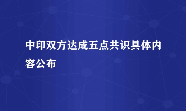 中印双方达成五点共识具体内容公布