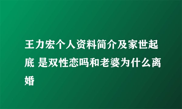 王力宏个人资料简介及家世起底 是双性恋吗和老婆为什么离婚