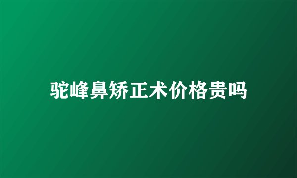驼峰鼻矫正术价格贵吗