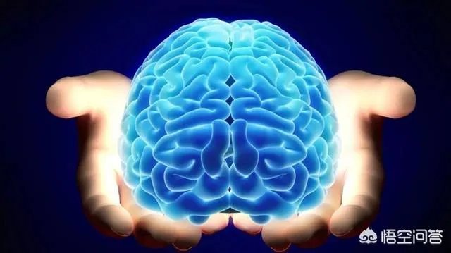 成功“复活死亡猪脑”有什么意义？