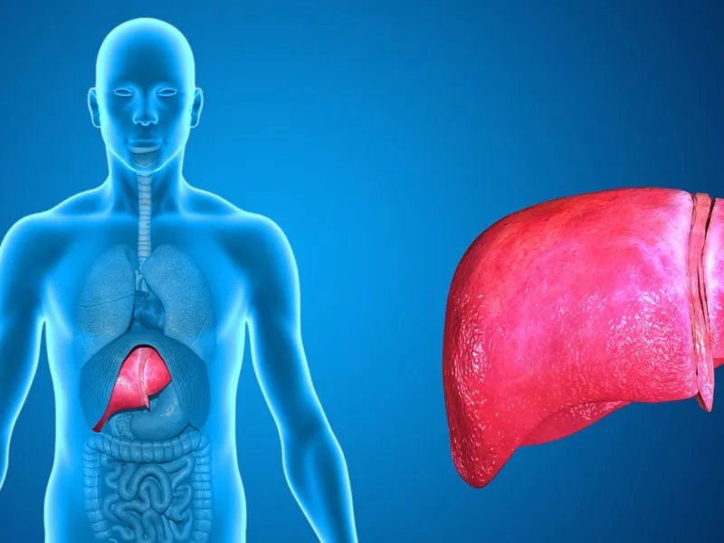 丙肝可以治好吗