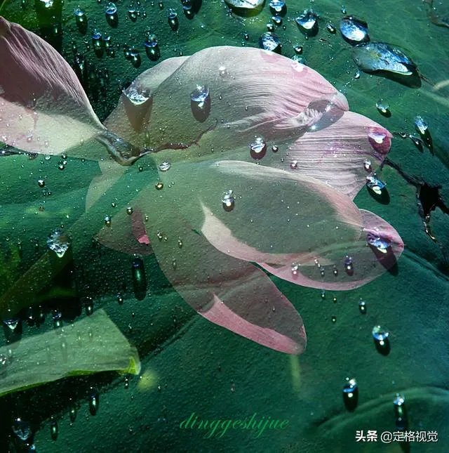 增距镜如何使用?