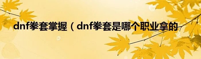 dnf拳套掌握(dnf拳套是哪个职业拿的