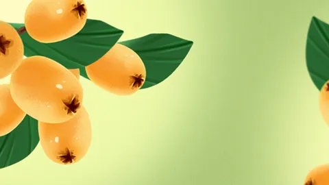 枇杷水果的功效是什么