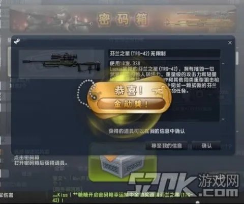 CSOL抽奖模拟器使用注意事项