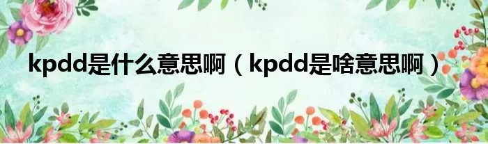 kpdd是什么意思啊（kpdd是啥意思啊）