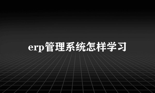 erp管理系统怎样学习