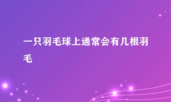 一只羽毛球上通常会有几根羽毛