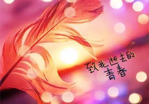 贺清寒向晴小说虐恋 做错事是要付出代价的无广告阅读