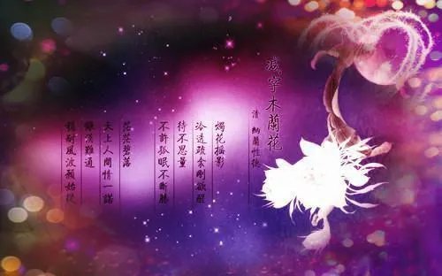 捂不热的人叶浅林予琛全章节小说章节目录阅读