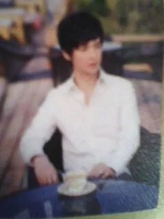 谁有 花火 小狮的照片啊？