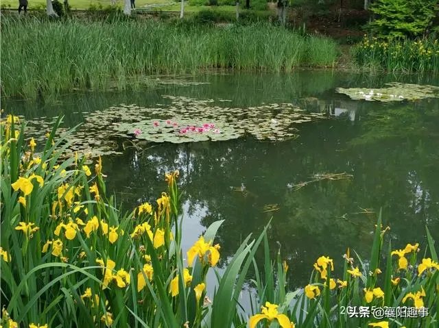 如何关爱医护人员