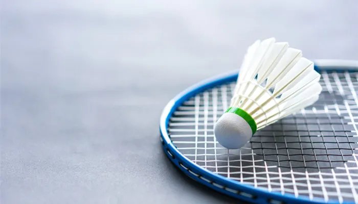 威德博威是哪个国家的品牌 威德博威是什么国家的品牌