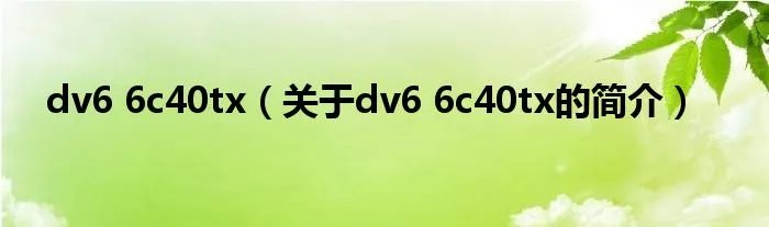 dv6 6c40tx（关于dv6 6c40tx的简介）